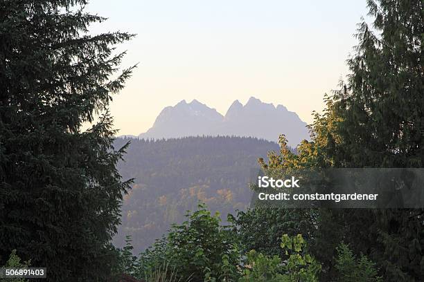 Cordilheira De Golden Ears Suave Luz E Evergreens - Fotografias de stock e mais imagens de Cedro - Cedro, Cena de tranquilidade, Colúmbia Britânica