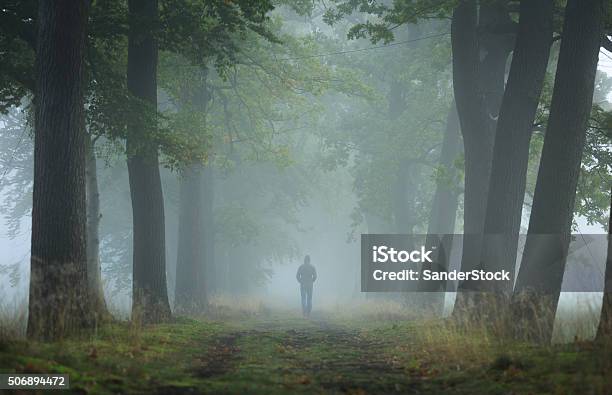 Vicolo Nebbioso - Fotografie stock e altre immagini di Soltanto una persona - Soltanto una persona, Solitudine, Bosco