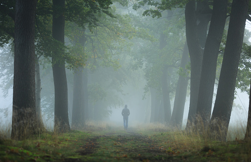 Man walking alone in a lane on a foggy, autumn morning. Shallow D.O.F.