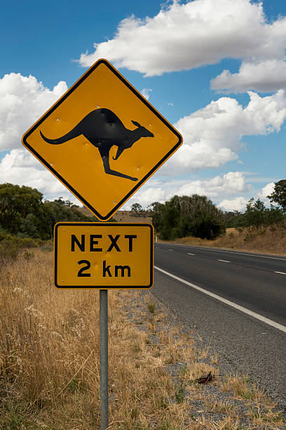 istock Kangaroo Road Sign Australia 506901518