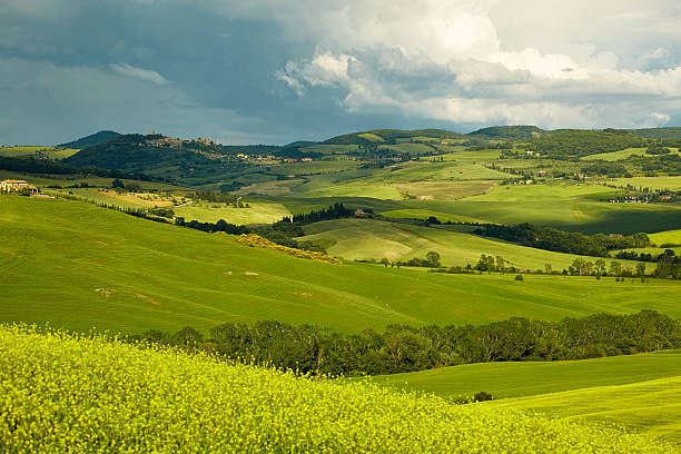 istock Green Tuscany hills 506902584