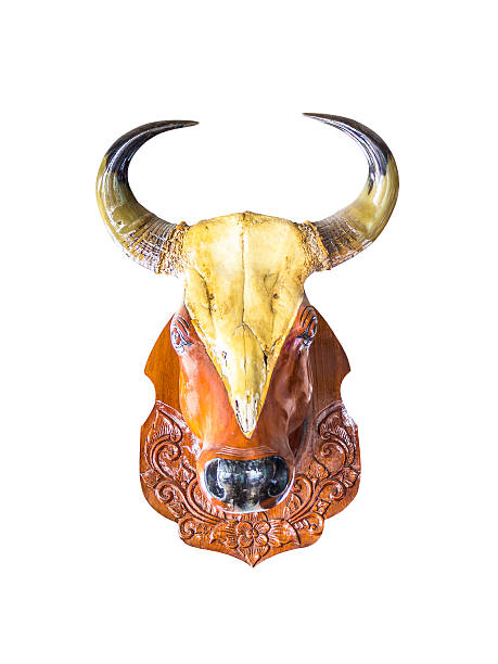 istock Wooden bull head statue isolated 506902846
