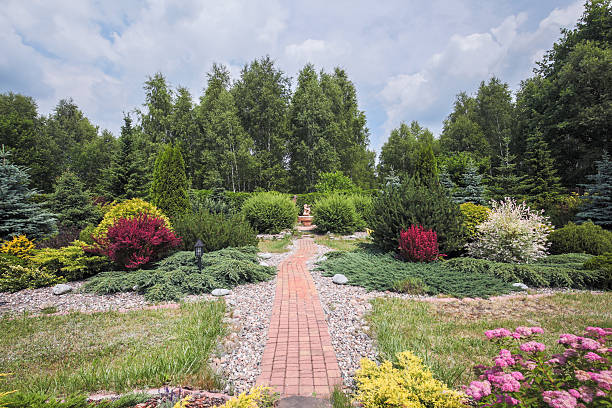 istock Beautiful garden with blooming bushes 506903532