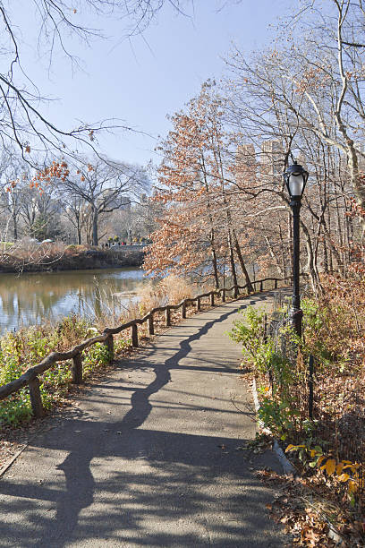 istock Central Park lake with walking trail and tree reflection 506903768