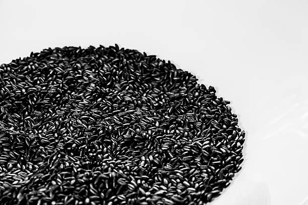 Black Rice stock photo