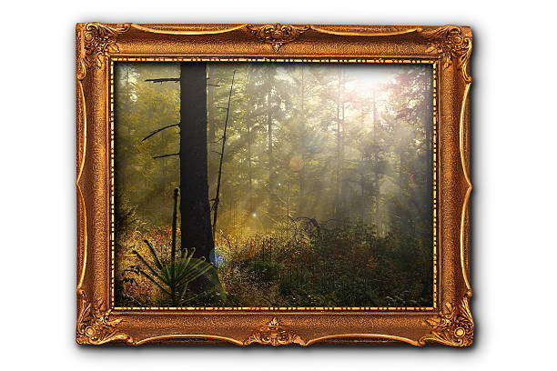 istock image of foggy forest 506906716
