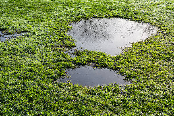 puddle in the grass puddle in the grass with reflection puddle stock pictures, royalty-free photos & images