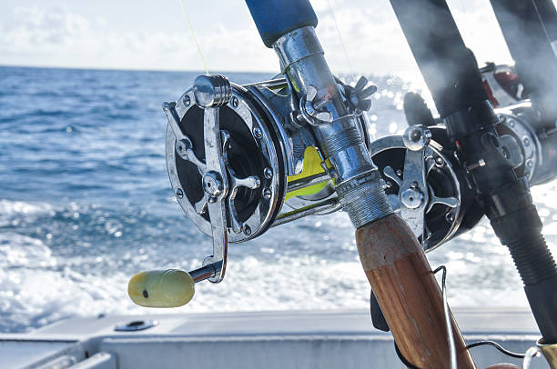 istock Fishing rods and reels 506909025