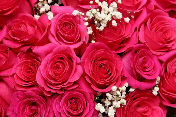 istock bouquet of red roses 506909362