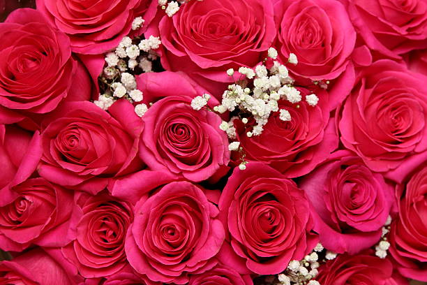 istock bouquet of red roses 506909544