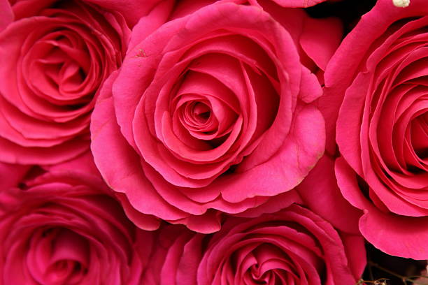 istock bouquet of red roses 506909718