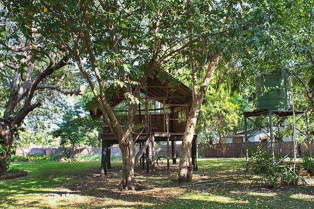 istock camping in Africa 506909859