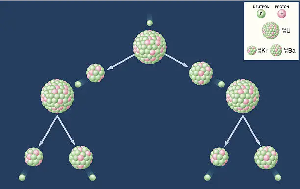 Vector illustration of Nuclear Fission And Chain Reaction Of Uranium