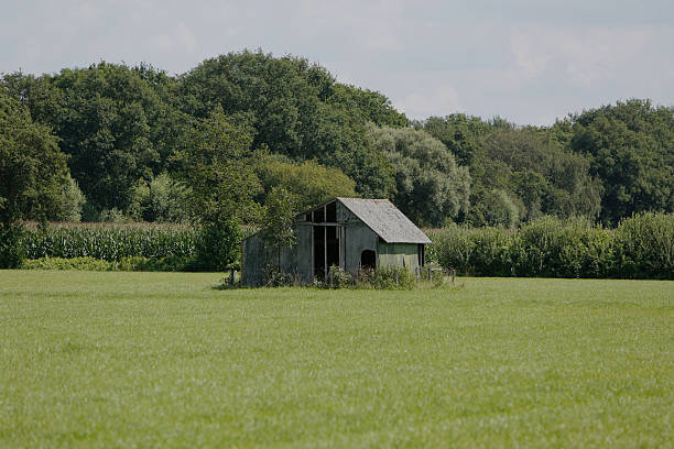 Old shed on countryside Old shed located in a grass field on the countryside in the province of Gelderland, The Netherlands. arma-globalphotos stock pictures, royalty-free photos & images