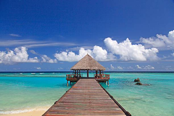 istock Tropical hut on  deck at holiday resort 506910509