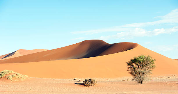 istock Sand scene, Sossusvlei, Namib Desert, Namibia, Africa 506911152