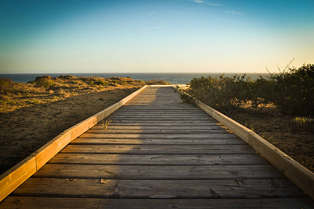istock Boardwalk in the beach at sunset background 506912666