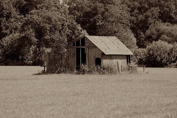 Old shed close-up Close-up of an old shed on the countryside of the Netherlands (back & white). arma-globalphotos stock pictures, royalty-free photos & images