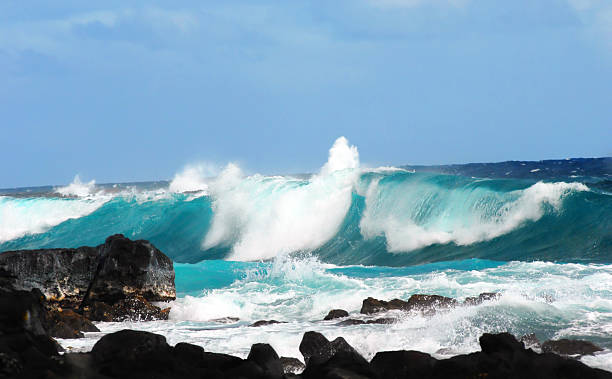 istock Big Wave at Mackenzie State Park 506914142