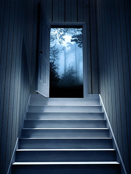 gradini in un seminterrato scuro per aprire la porta - basement spooky cellar door foto e immagini stock