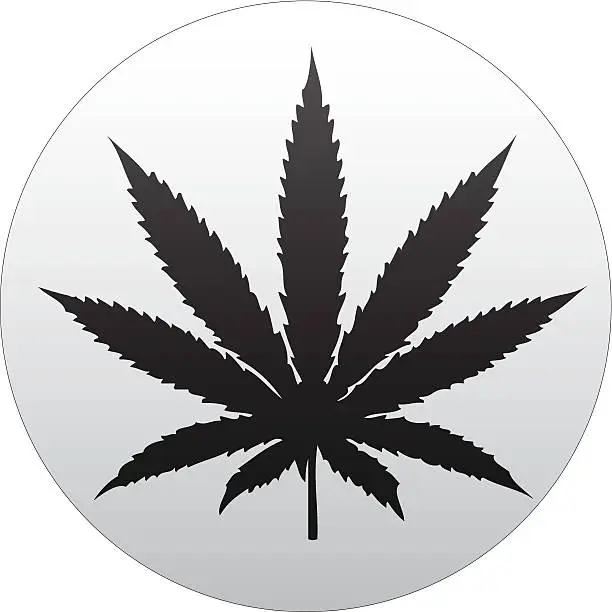 Vector illustration of marijuana leaf