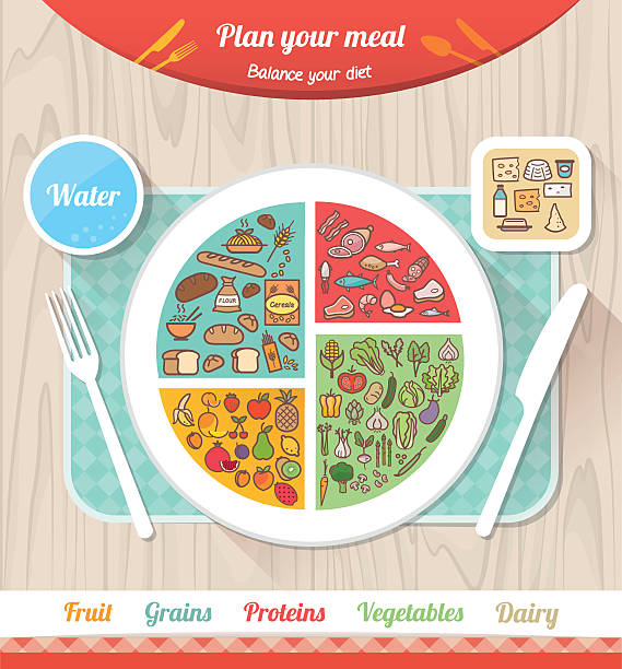 Plan your meal Plan your meal infographic with dish, chart and icons, healthy food and dieting concept balance drawings stock illustrations