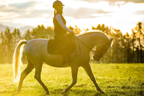 istock Woman riding horse 506915330