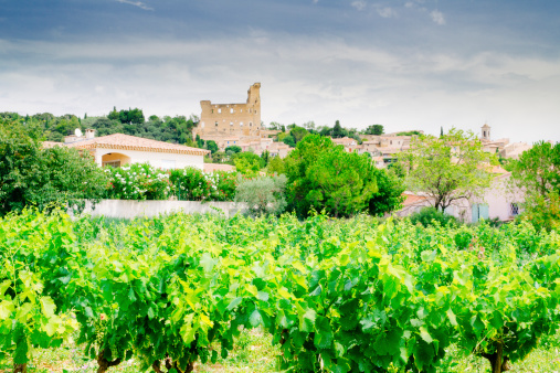 The provencal village of Chateauneuf-du-Pape in the south of France, famous for its full bodied red wine. AdobeRGB colorspace.