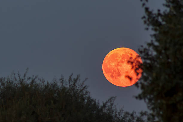 istock Red blood moon at blue twilight sky 506915802