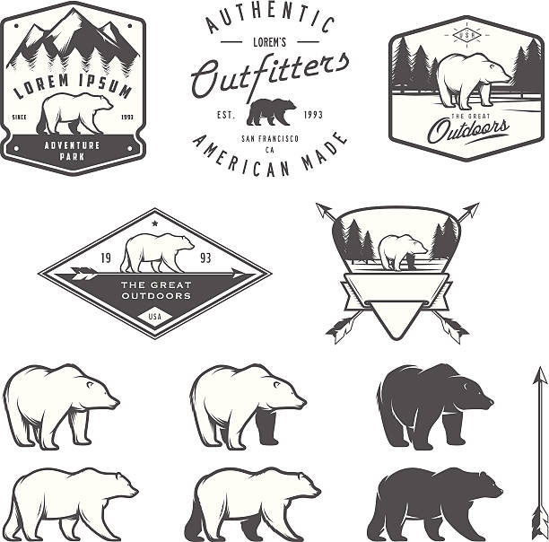 niedźwiedź zestaw vintage ikony symbolizujące i etykiety - bear hunting stock illustrations