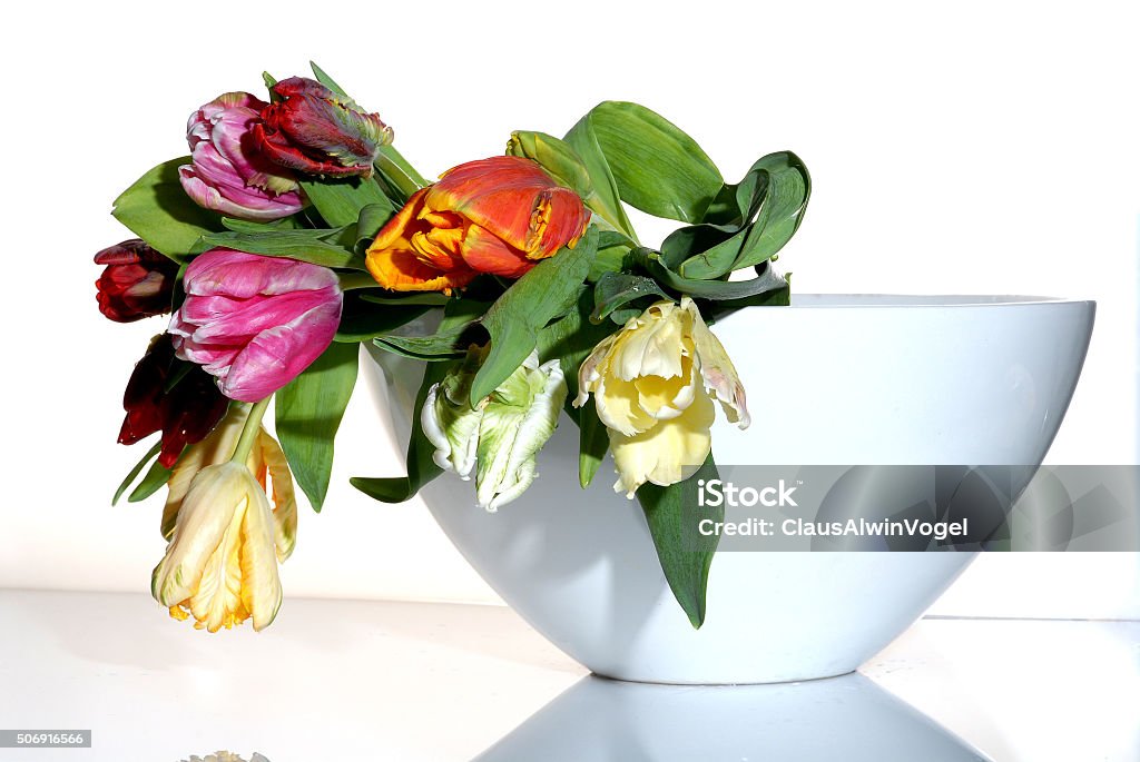 Parrot Tulips Bunch of parrot tulips in a vase Flower Stock Photo