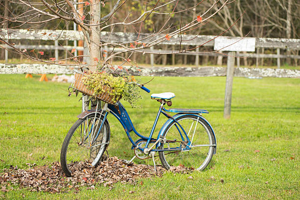 istock Retro bike in Tennessee 506917682