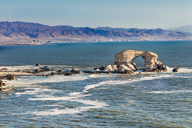 Cover of Antofagasta