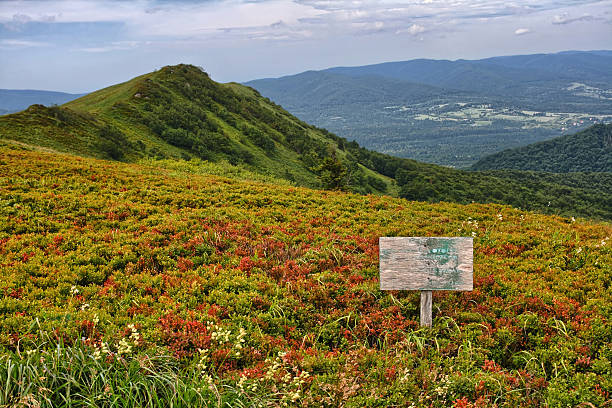 Bieszczady Mountains stock photo