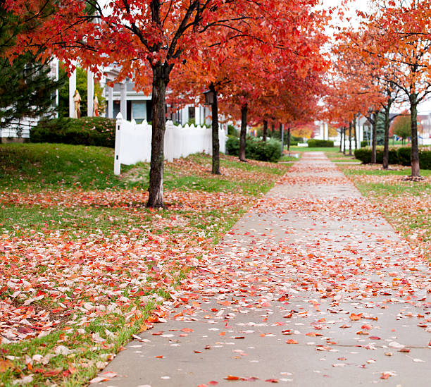 istock Autumn residential street 506921223