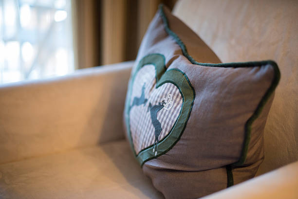 istock A pillow in an armchair 506921444