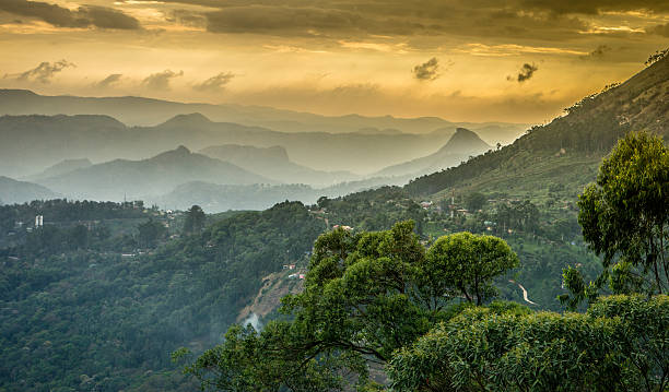 ghâts occidentaux - landscape forest asia mountain photos et images de collection