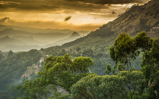 View of the mountains in Munnar, Western Ghats chain (Sahyadri), in the Indian state of Kerala’s Idukki district.