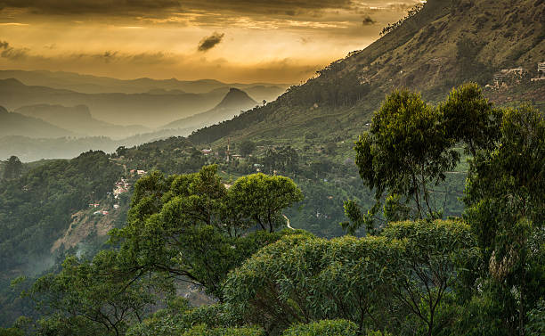 istock Western Ghats mountains 506921744