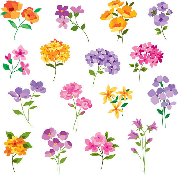 ilustrações de stock, clip art, desenhos animados e ícones de colorido mão desenhada flores - stem poppy fragility flower
