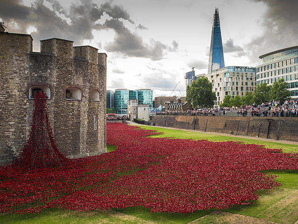 Tower of London poppies stock photo