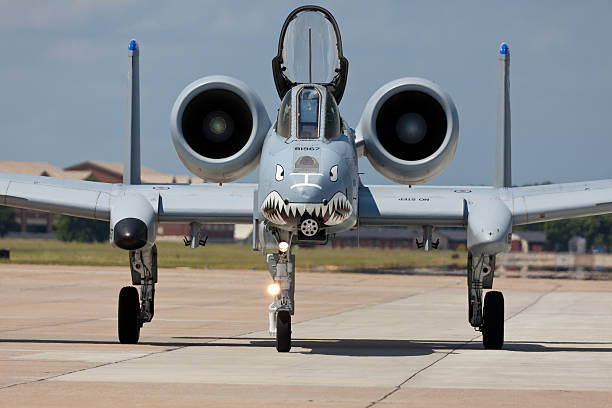 The A-10 Thunderbolt II displayed at Langley AFB Hampton, USA - May 15, 2011: The Fairchild Republic A-10 Thunderbolt II displayed at the Langley Air Force Base located in Hampton, VA during The 2011 Air Power Over Hampton Roads Open House and Air Show on May 15, 2014. The A-10 more commonly known as Warthog or Hog is a twin-engine jet aircraft  designed for close air support of ground forces. a10 warthog stock pictures, royalty-free photos & images