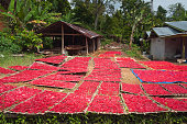 red-chips.jpg?b=1&s=170x170&k=20&c=b8gcwtxf5wVAYwLMSI4BXRJWDXGRKJF4QwpOkrbOQFY=