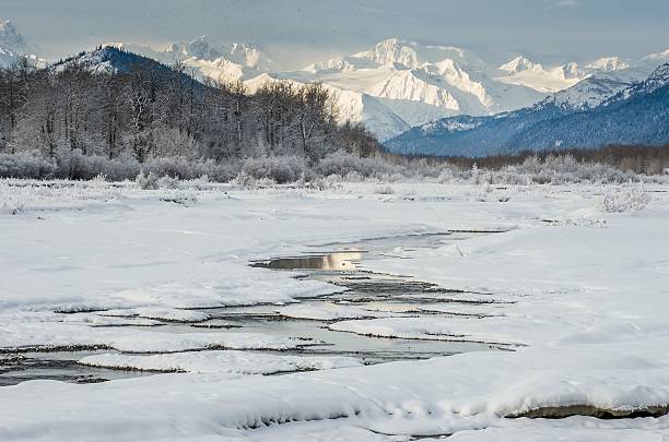 istock Chilkat River and Mountains in snow 506924120