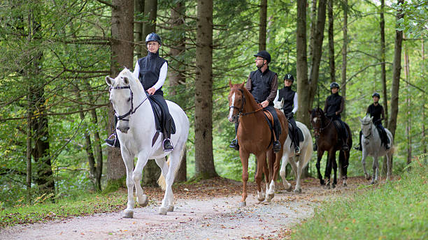 pessoas dirigindo cavalos - mounted imagens e fotografias de stock