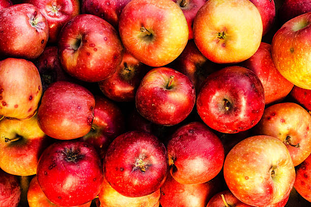 istock Food background with ripe red apples close up. 506930183