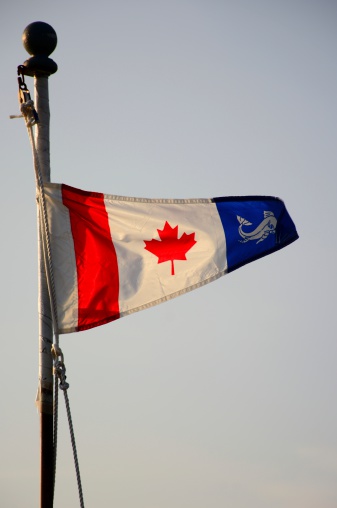 Canadian Coast Guard Jack, Flag