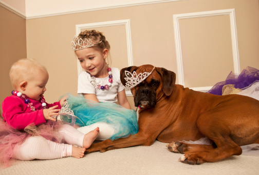 These two sisters are playing princess dress ups, they decided that the dog needed to dress up with them.  The boxer dog has played princess games with these two sisters.  The dog is so annoyed that she has to play princess again.  The girls were so enjoying the crowns, necklaces, princess gowns, the dress up shoes, the tutus, and being little girls.  This family dog is very good about playing with the little girls.