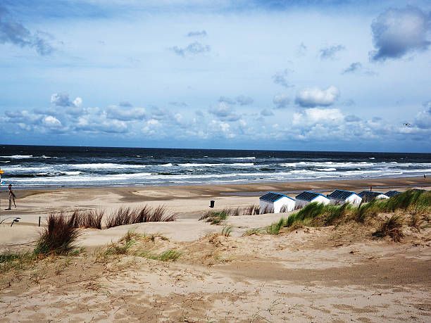 пляж де koog на texel, нидерланды - wadden wadden sea unesco world heritage site sea стоковые фото и изображения