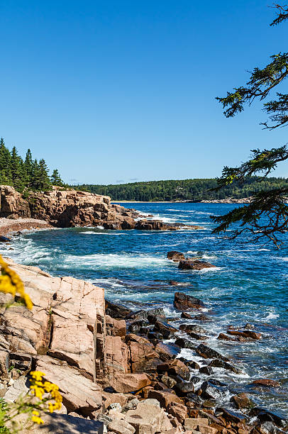 istock Flowers and Trees on Rocky Shore 506937751